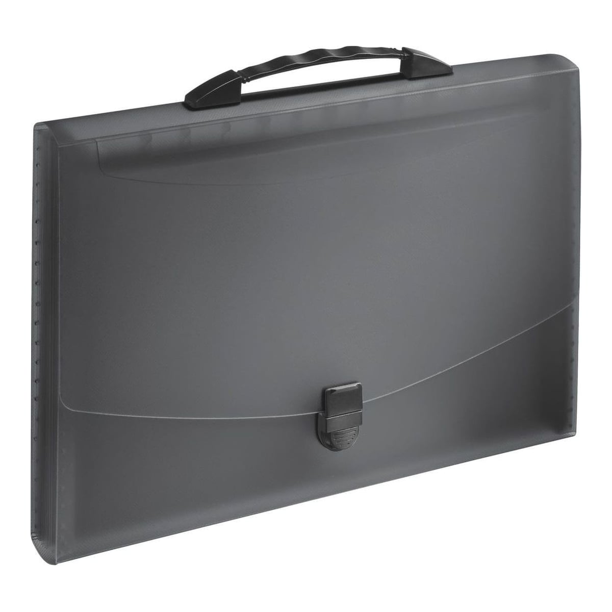 Mapa Plastic 12 Compartimente Cu Maner Neagra Vivida Esselte