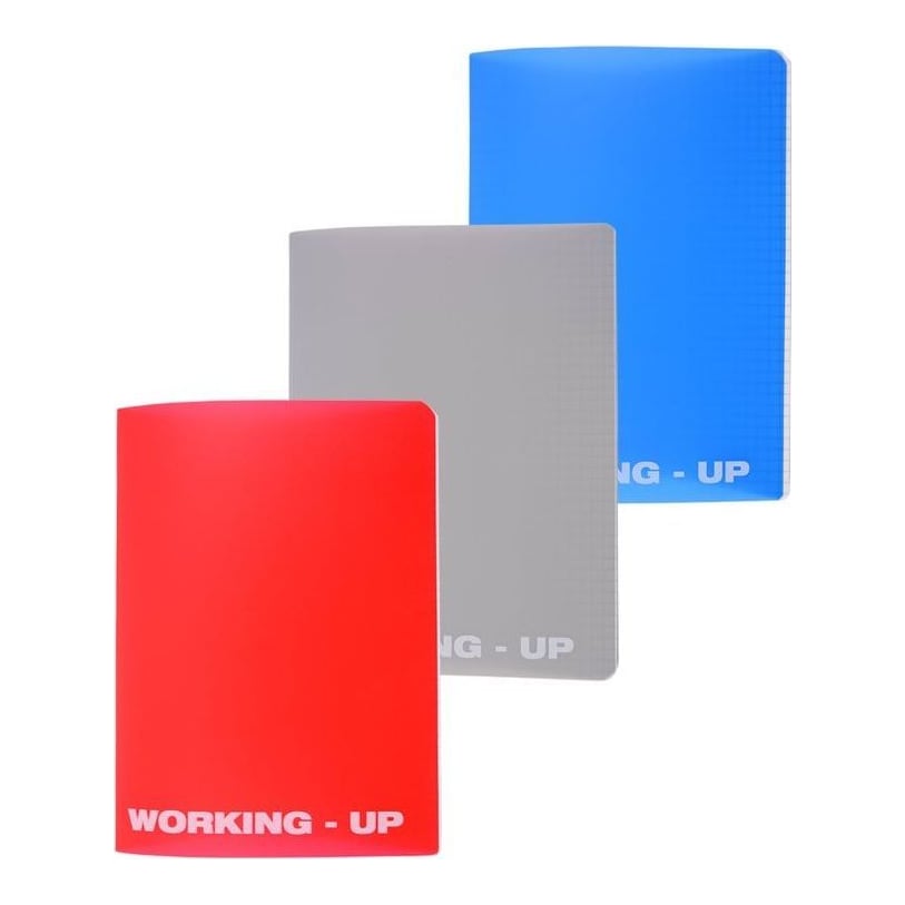 Caiet A5 48 File Aritmetica Coperta Pp Working Up Pigna