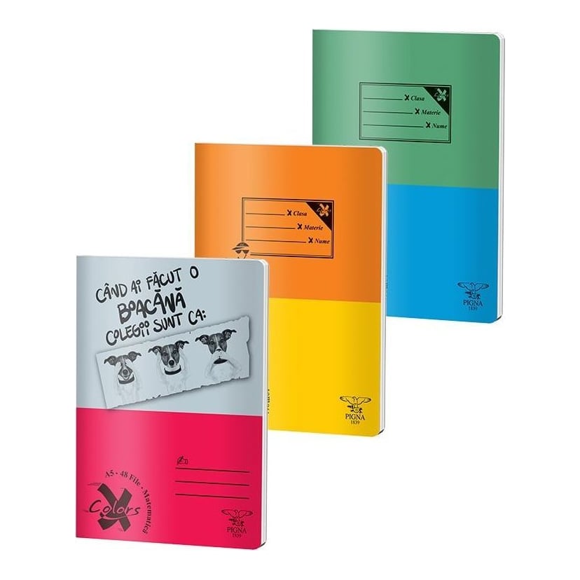 Caiet A5 48 File Aritmetica Basic Pigna