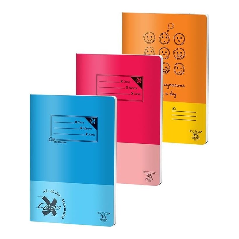 Caiet A4 60 File Aritmetica Basic Pigna