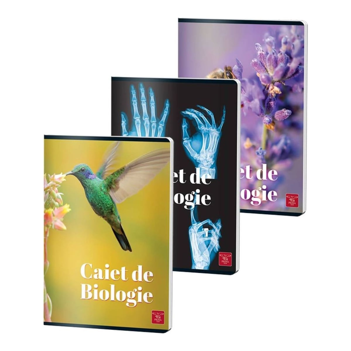 Caiet Biologie A4 24 File Color Pigna