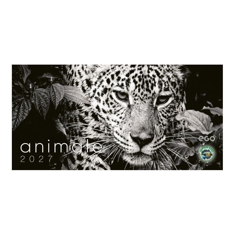 Calendar Birou Animale 13 File Ego