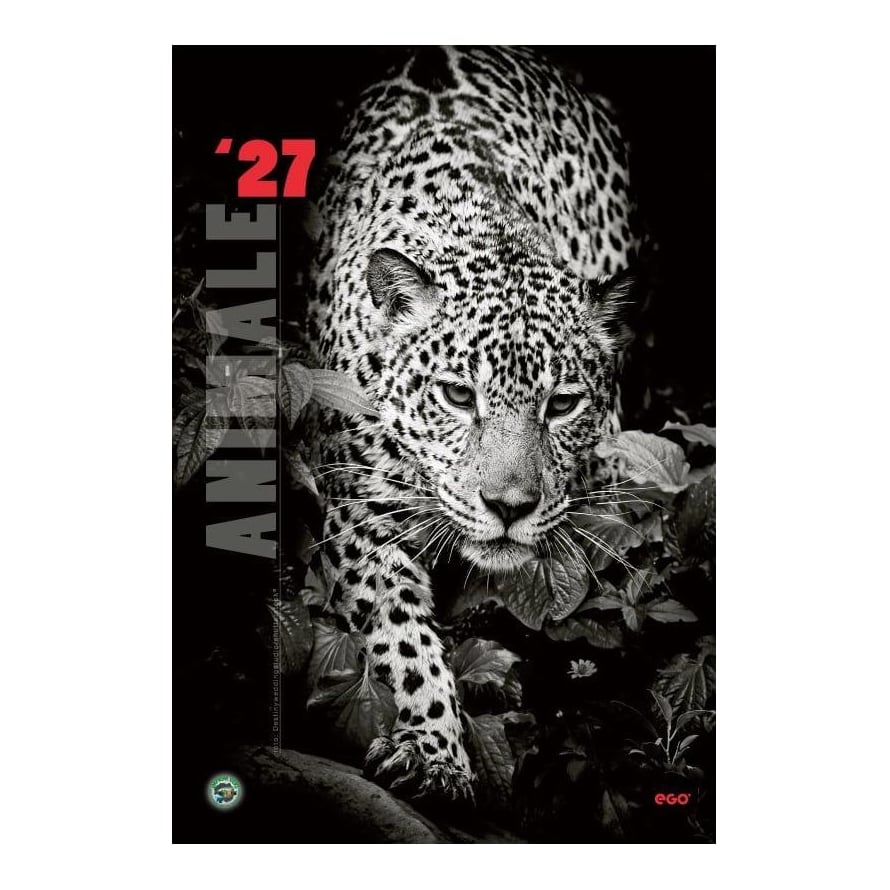 Calendar Perete Animale 13 File Ego