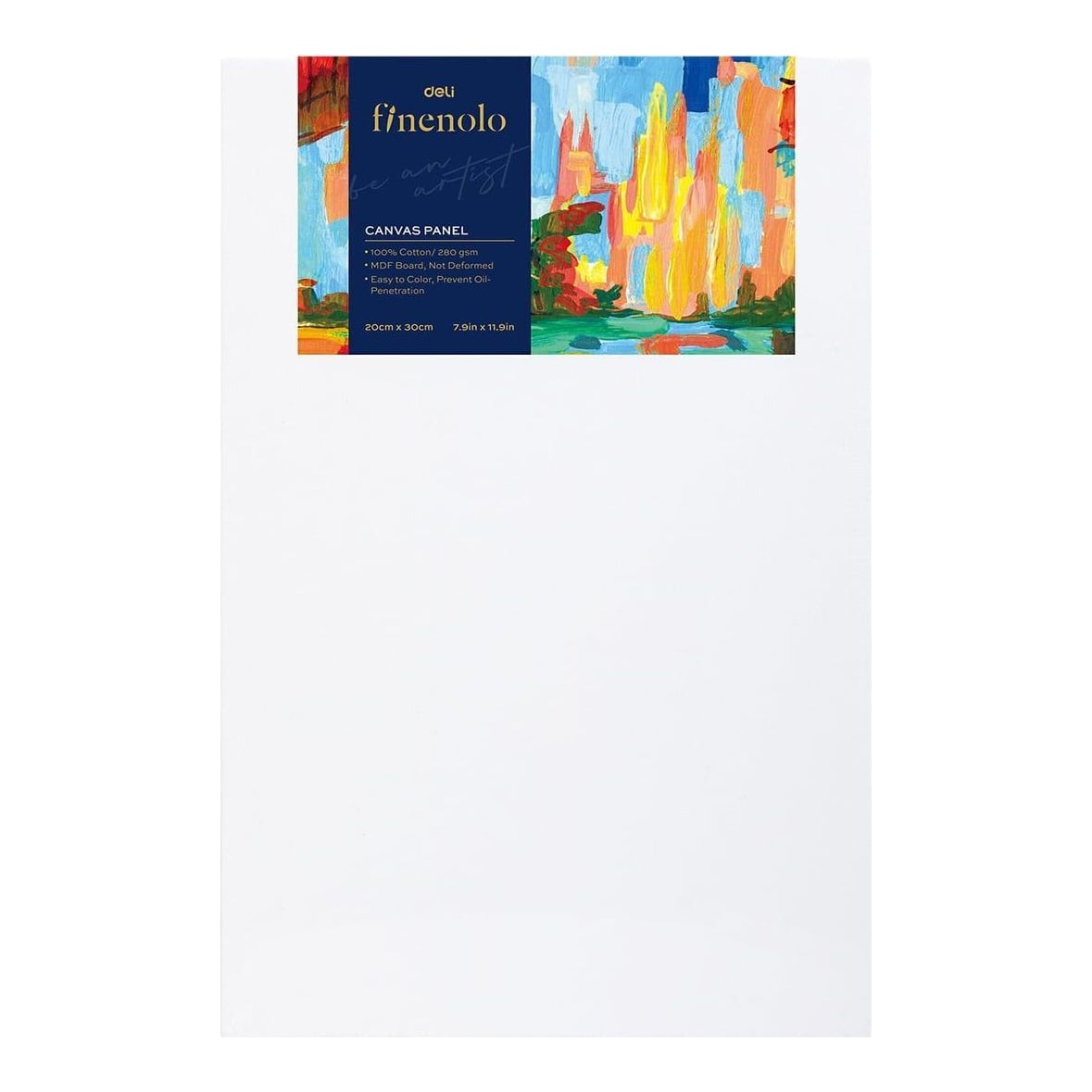 Carton Panzat 20*30CM Deli