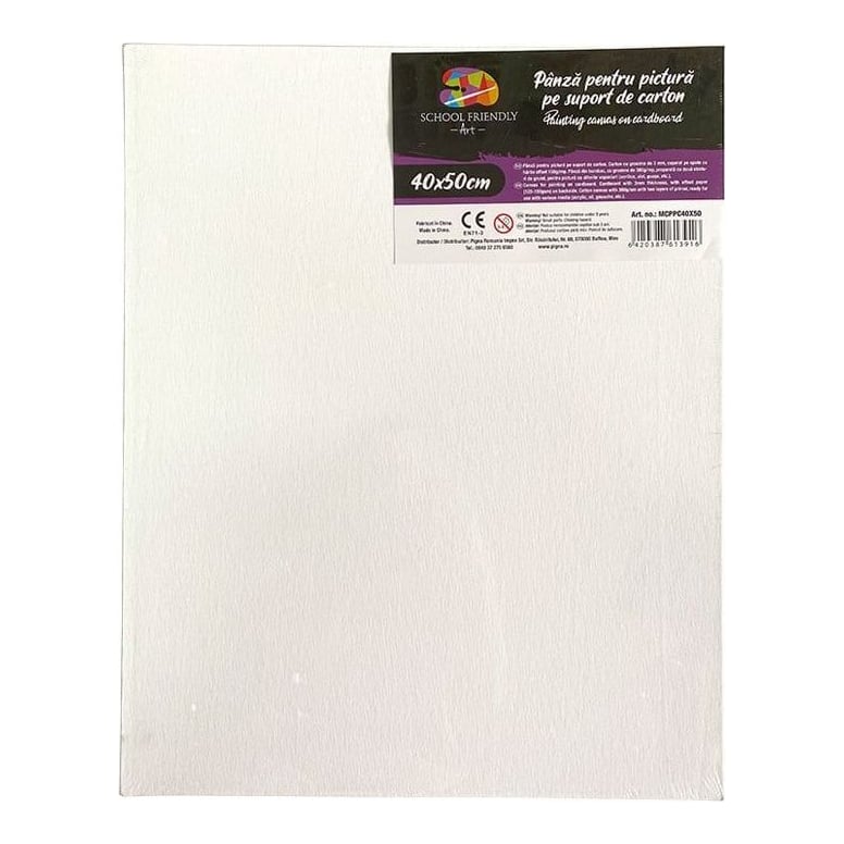 Carton Panzat 3 Mm 40 X 50 Cm Sf Art Pigna