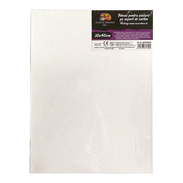 Carton Panzat 3 Mm 30 X 40 Cm Sf Art Pigna