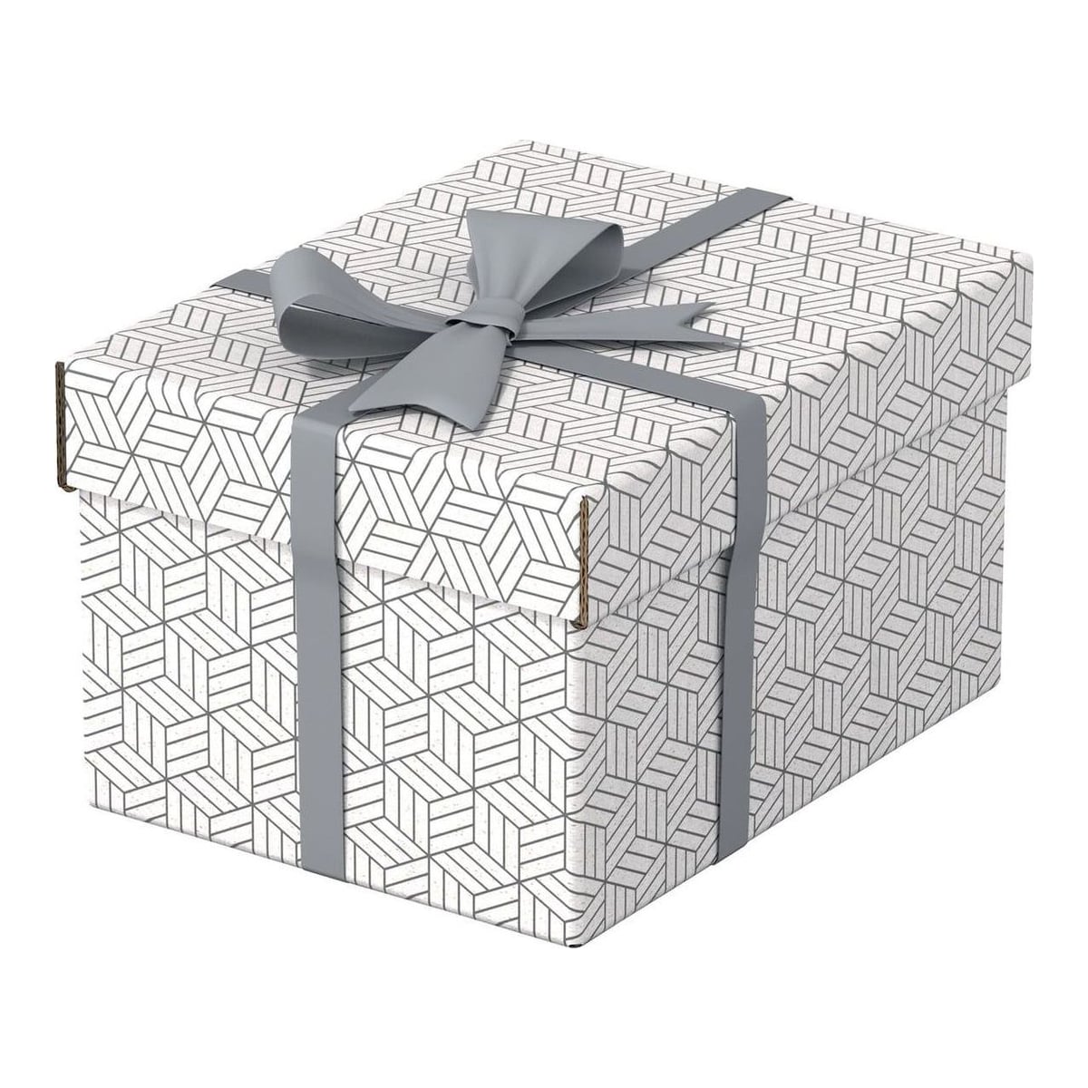 Cutie Depozitare Cu Capac 25 X 20 X 15 Cm Alba Recycled Esselte