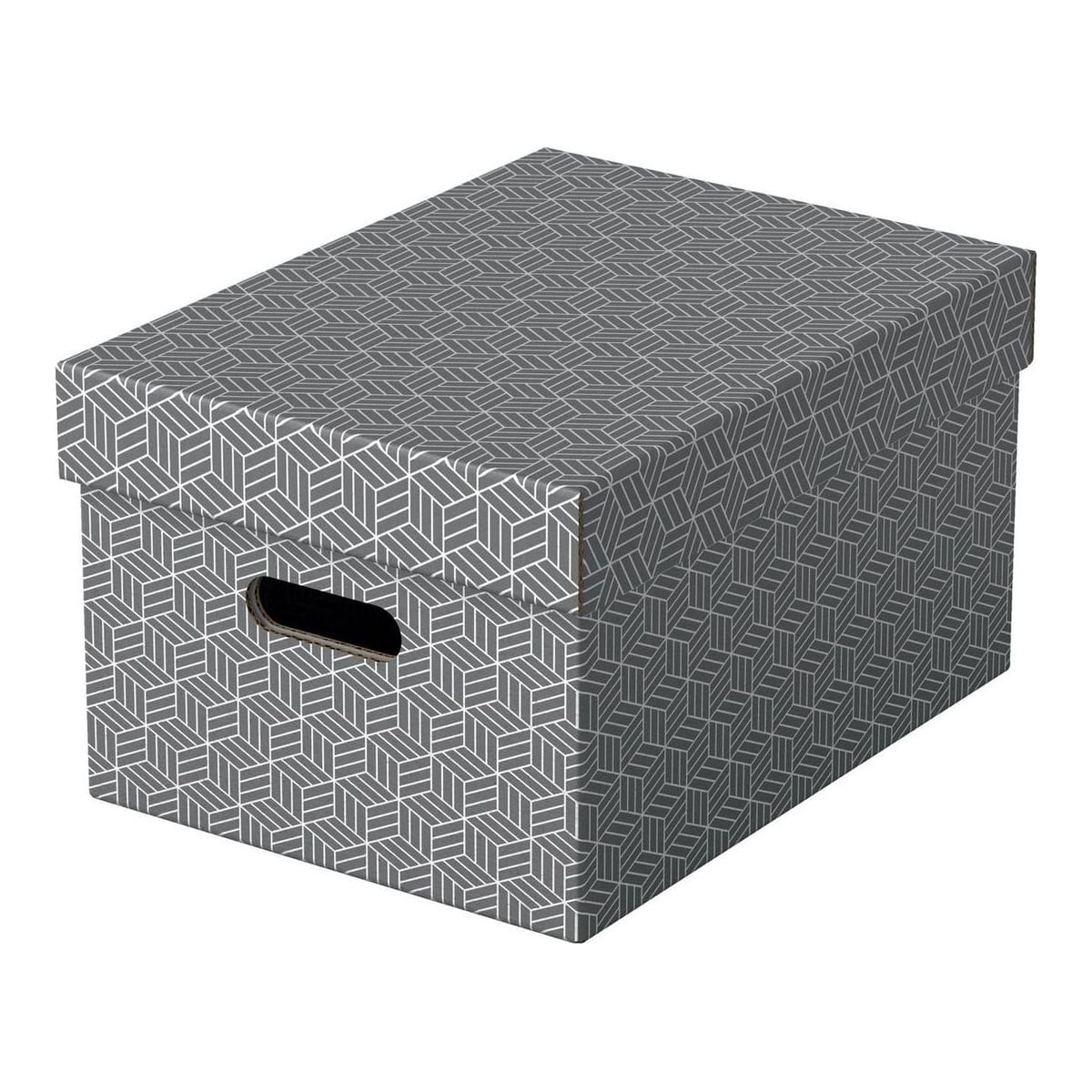 Cutie Depozitare Cu Capac 36 X 26 X 20CM Gri Recycled Fsc 3/Set Esselte