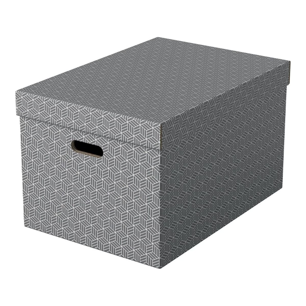 Cutie Depozitare Cu Capac 51 X 35 X 30 Cm Gri Recycled Fsc 3/Set Esselte