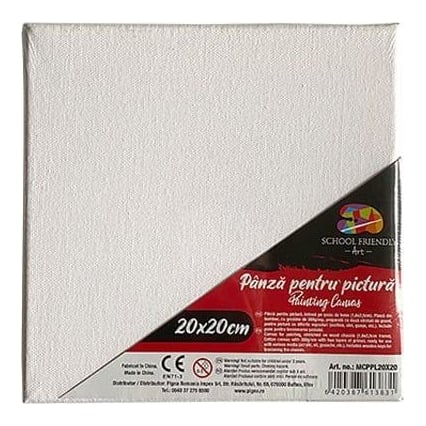 Panza Pentru Pictura Pe Sasiu 20 X 20 Cm Sf Art Pigna