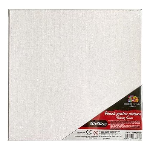 Panza Pentru Pictura Pe Sasiu 30 X 30 Cm Sf Art Pigna