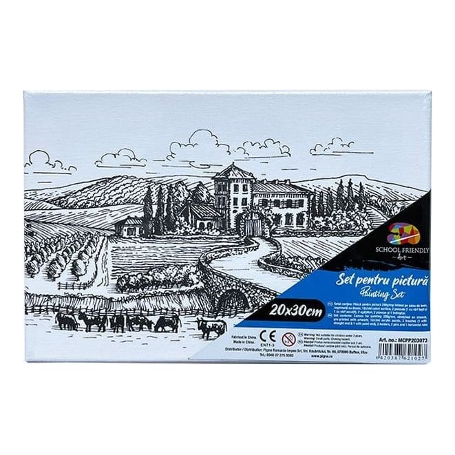 Panza Predesenata Pe Sasiu 20*30CM Peisaj Sf Art Pigna