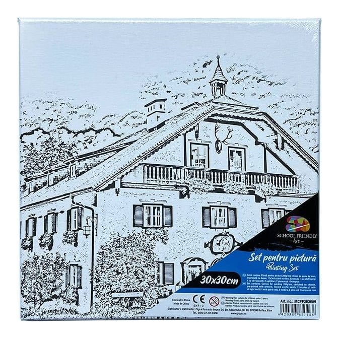 Panza Predesenata Pe Sasiu 30*30CM Conac Sf Art Pigna