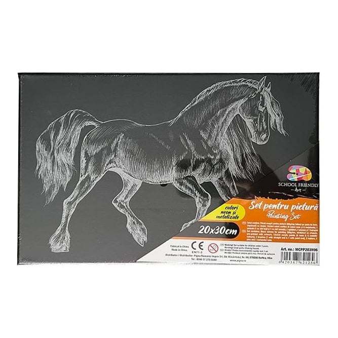 Panza Predesenata Pe Sasiu Neagra 20*30CM Cal Sf Art Pigna