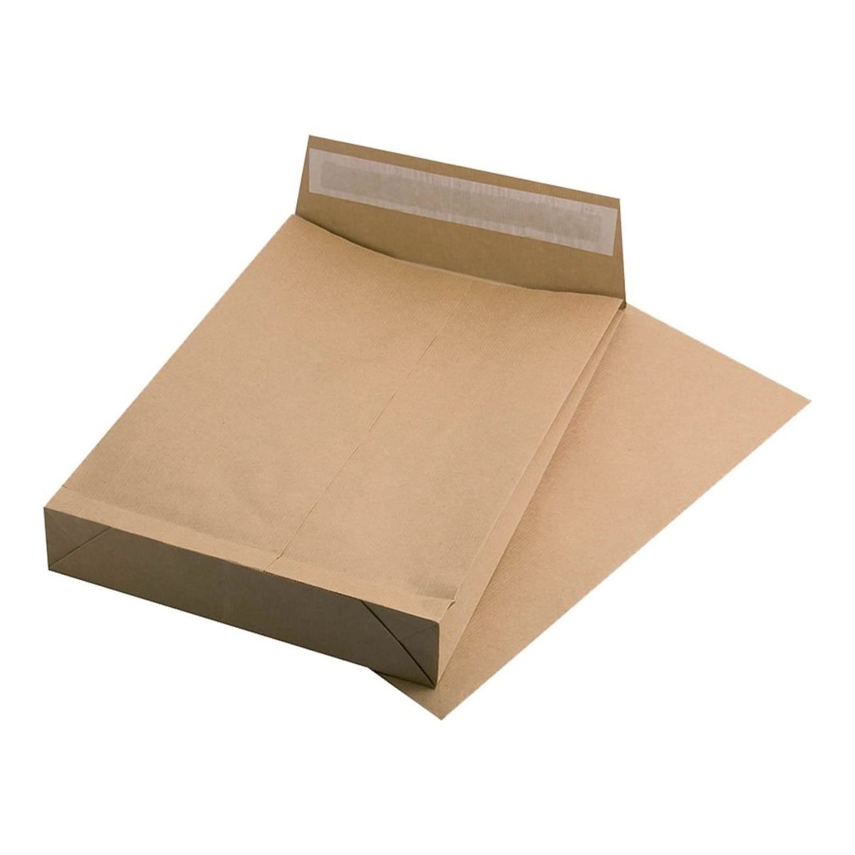 Plic B4 Silicon Burduf 100MM 120G 250*353MM Maro Tip T Gpv