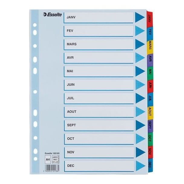 Separatoare Index Carton Ian-dec Mylar Esselte