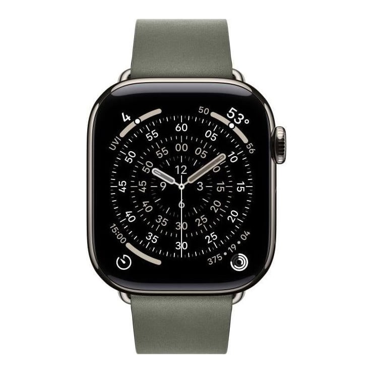 Apple Aw Band 42MM Modern Buckle Sage Gray L