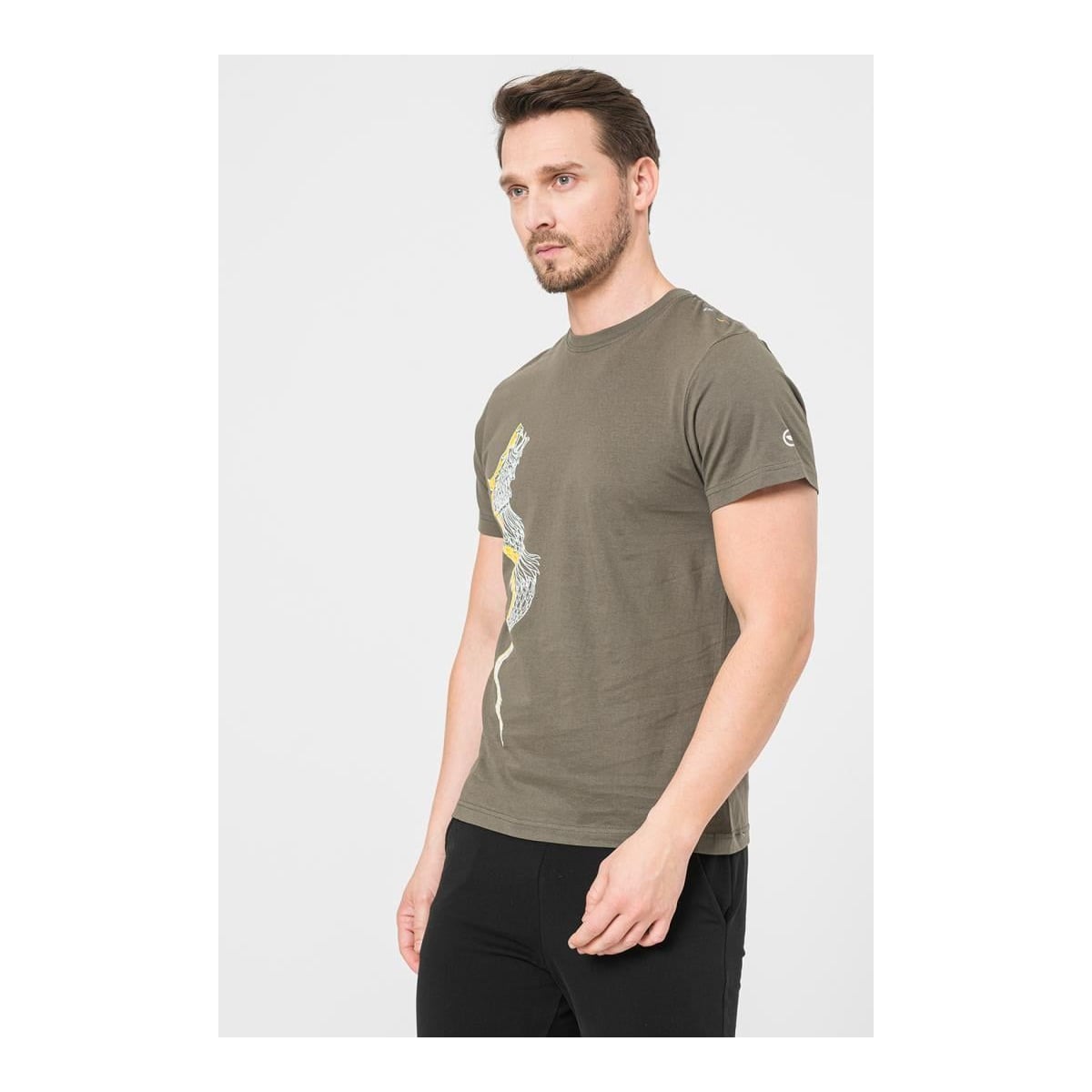 PEGAS Tricou Casual Dracon Barbati Gray-s