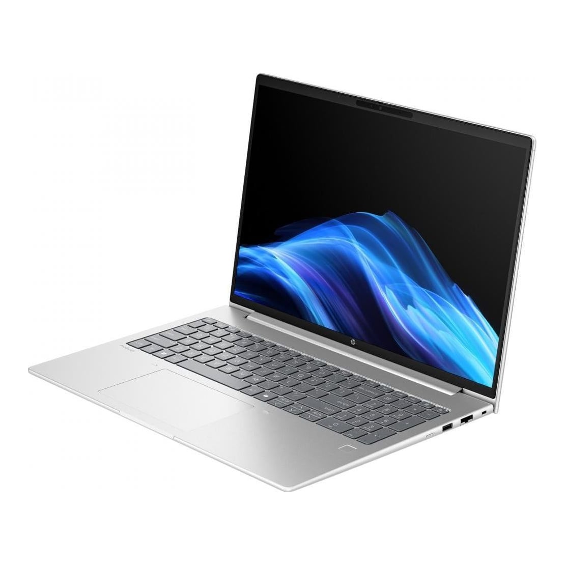 Laptop HP ProBook 4 G1a cu procesor AMD Ryzen 5 230 6 Core (3.5 GHz up to 4.9 GHz, 16MB)- 16 NPU TOPS, 16.0 inch WUXGA, 24GB DDR5, SSD 512GB PCIe NVMe, AMD Radeon Graphics, Windows 11 Pro 64bit, AI PC(<40 TOPS), Pike Silver, 1yw