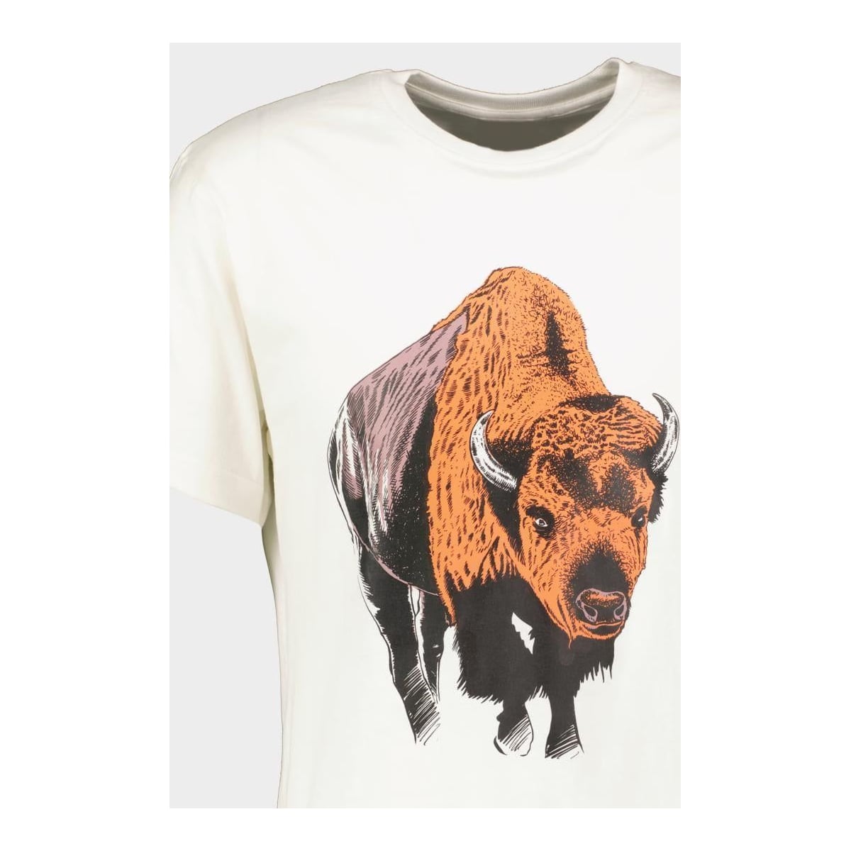 PEGAS Tricou Zimbru