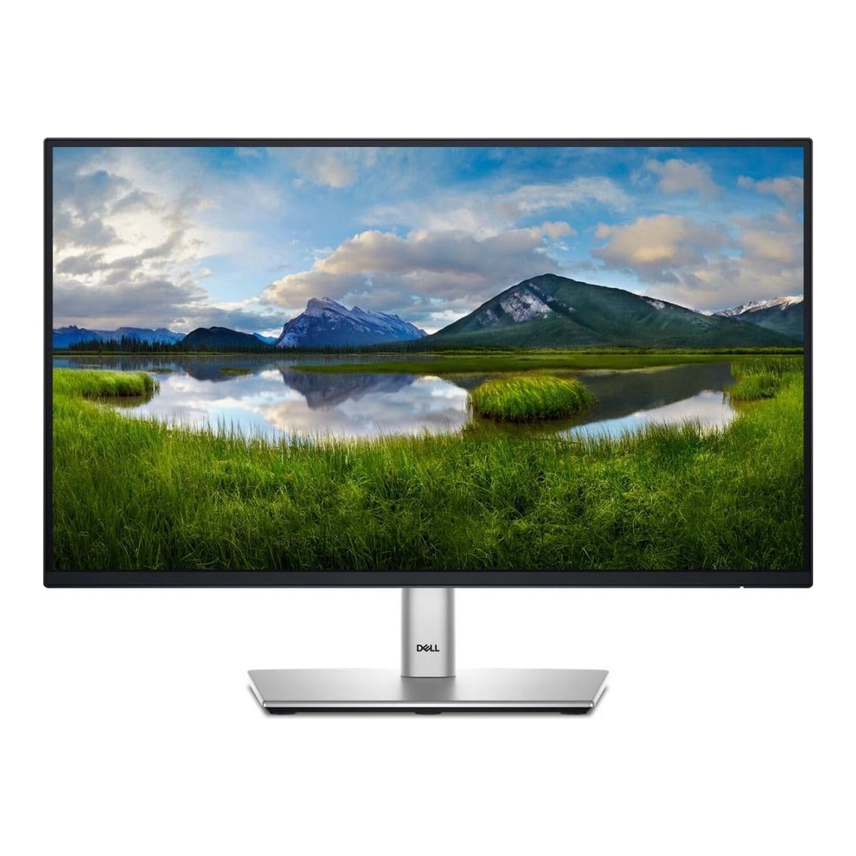 Dell Dl Monitor 21.5" P2225H LED 1920X1080