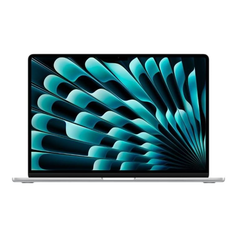 Apple MA15 M4 CPU-10/GPU-10/24 GB/1 TB Int Sv