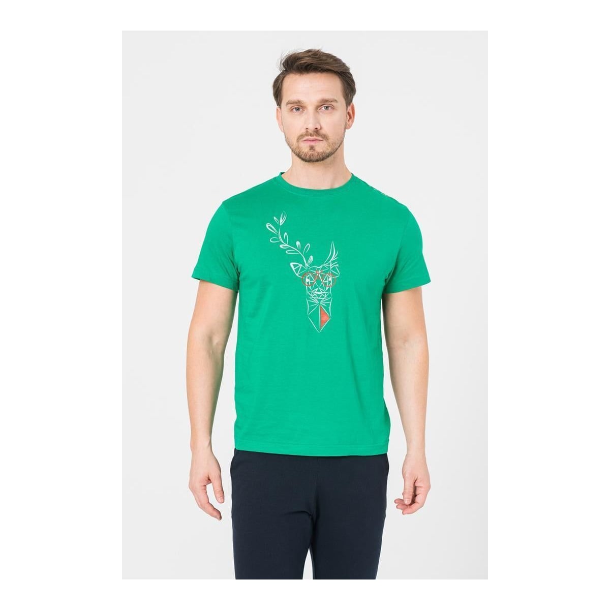 PEGAS Tricou Cerb Familie Barbati K Green-s