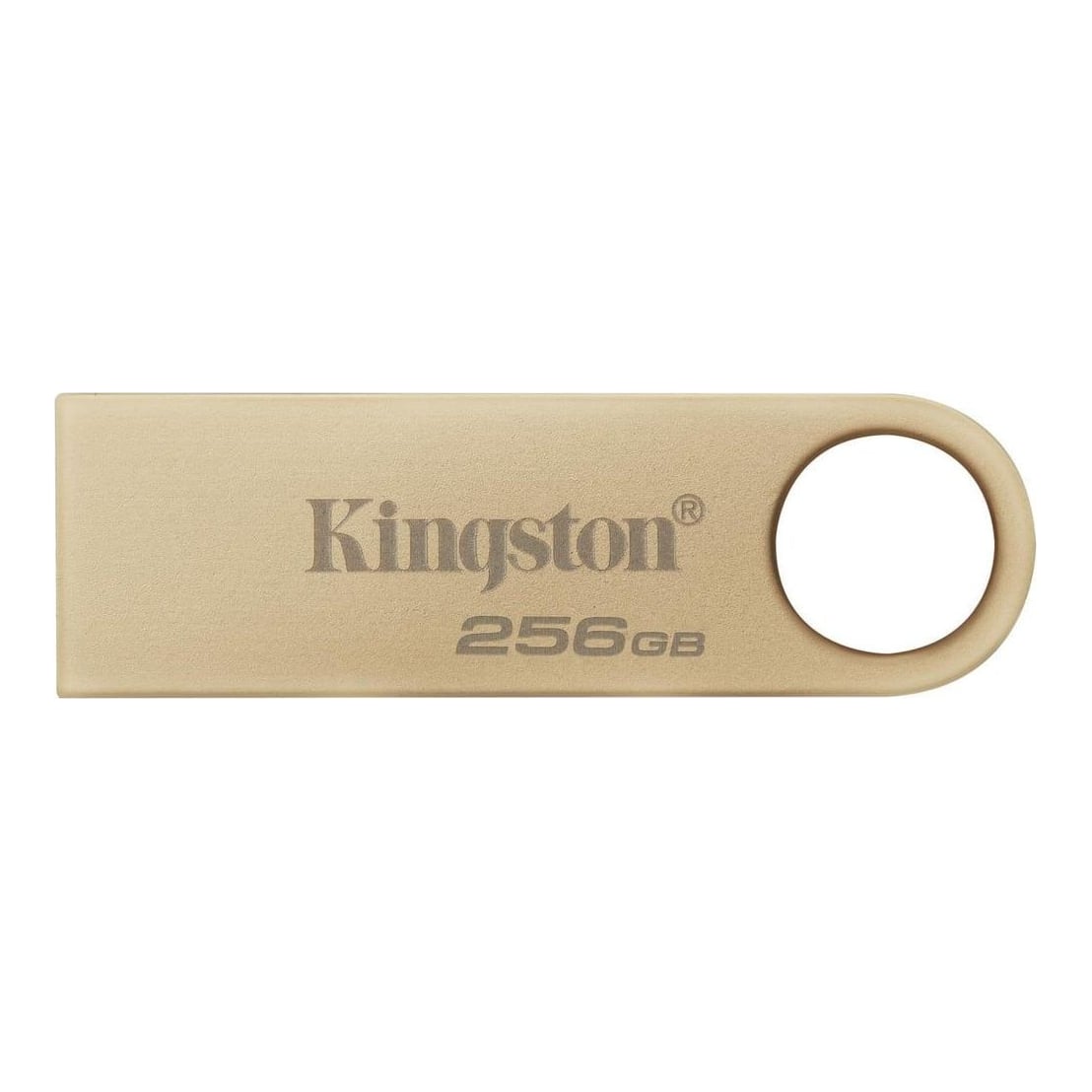 Memory Drive Flash USB3.2/256 GB DTSE9G3/256 GB Kingston