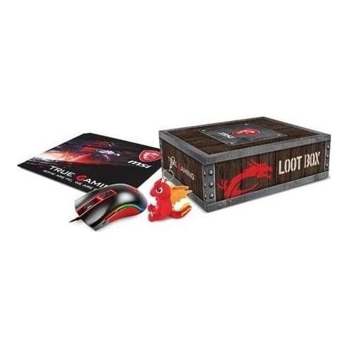 Notebook Acc Loot BOX Pack 2018/LEVEL1 957-1XXXXE-063 MSI
