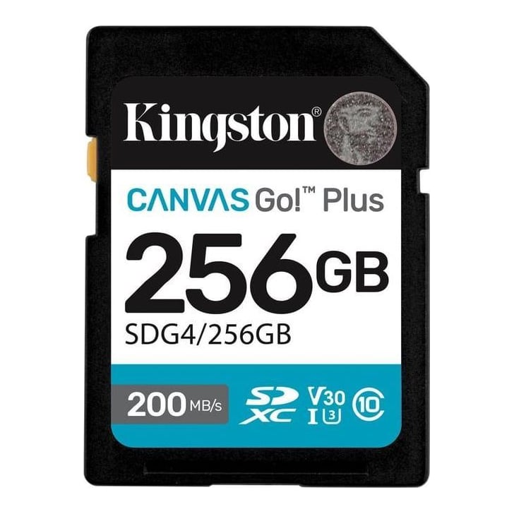 Memory Sdxc 256 GB Uhs-i/SDG4/256 GB Kingston