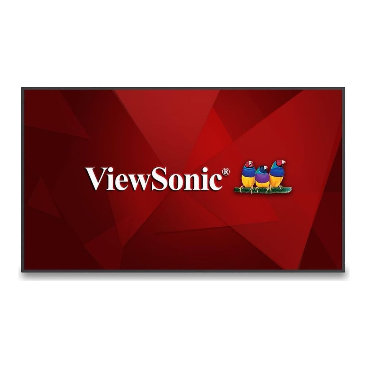 Display LCD 65" 4K 24/7/CDE6530 Viewsonic